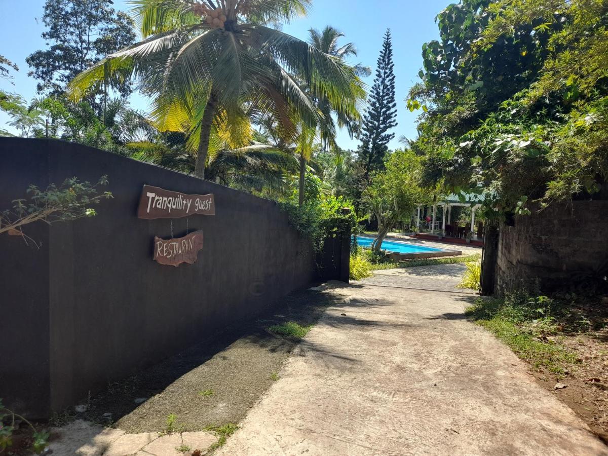Tranquility Guest House Hikkaduwa Exteriör bild