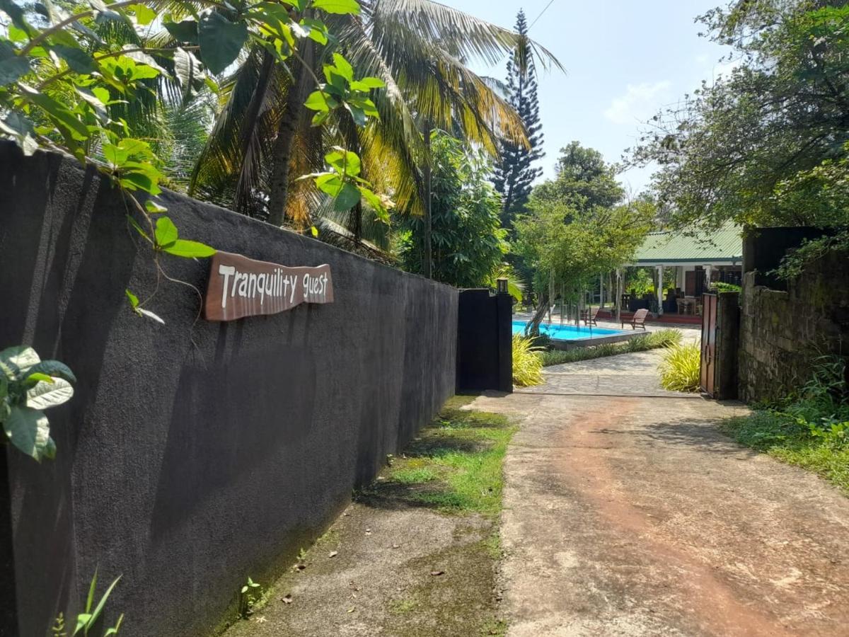 Tranquility Guest House Hikkaduwa Exteriör bild