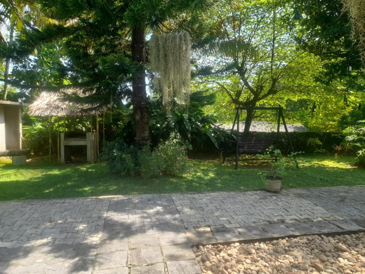 Tranquility Guest House Hikkaduwa Exteriör bild