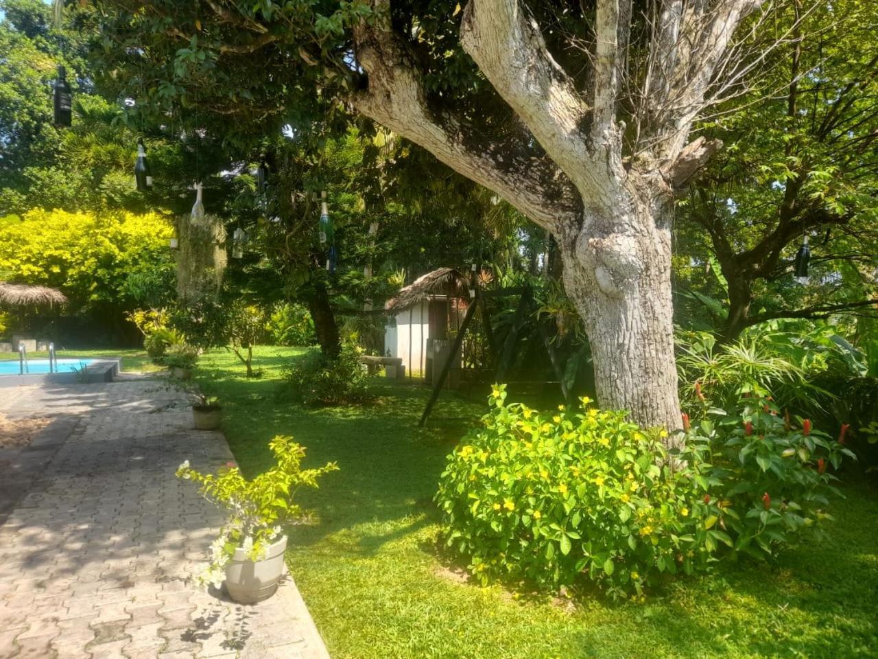 Tranquility Guest House Hikkaduwa Exteriör bild