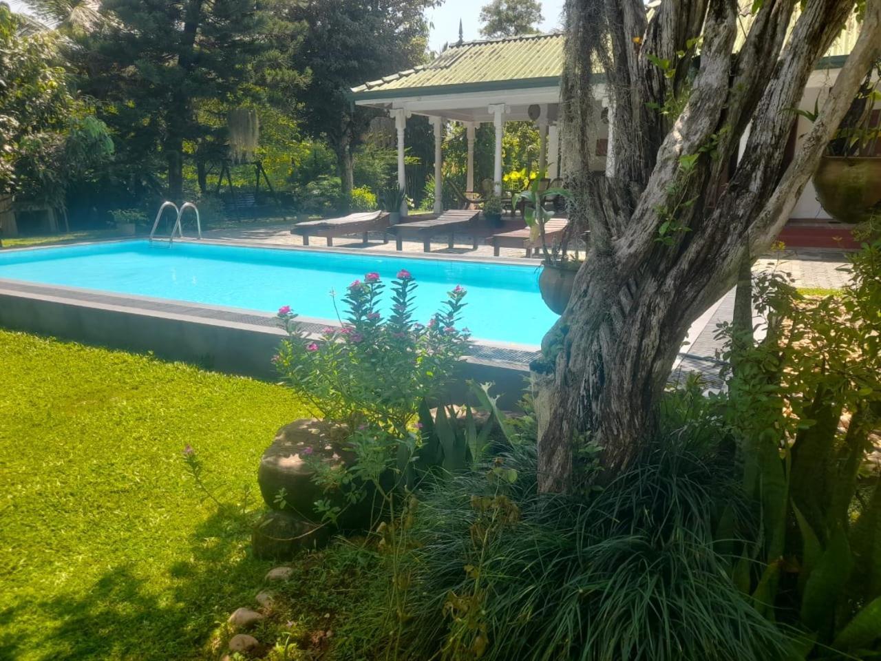 Tranquility Guest House Hikkaduwa Exteriör bild