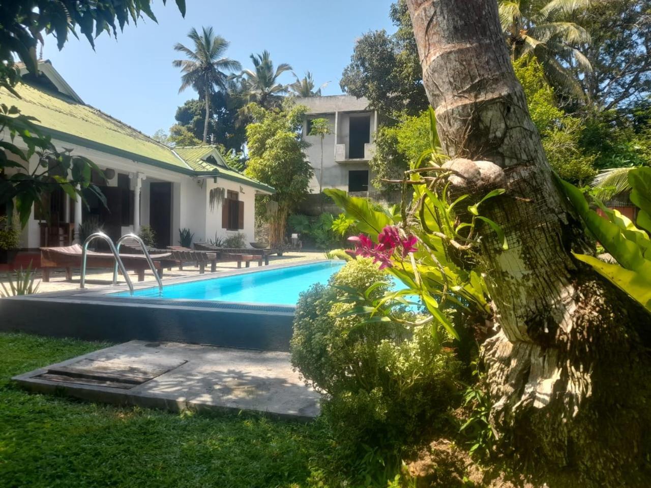 Tranquility Guest House Hikkaduwa Exteriör bild