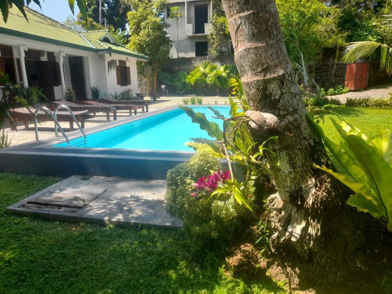 Tranquility Guest House Hikkaduwa Exteriör bild