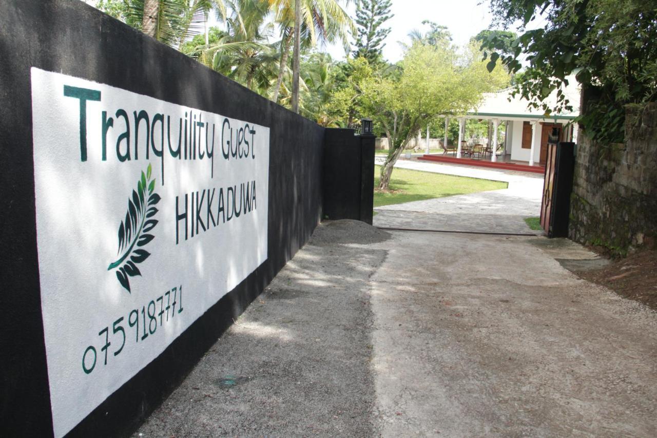 Tranquility Guest House Hikkaduwa Exteriör bild