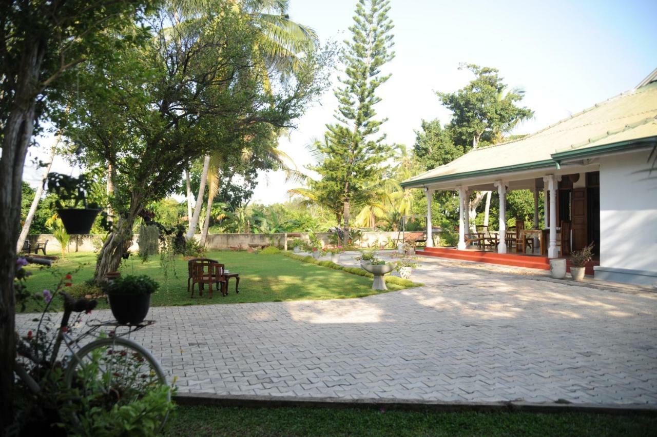 Tranquility Guest House Hikkaduwa Exteriör bild