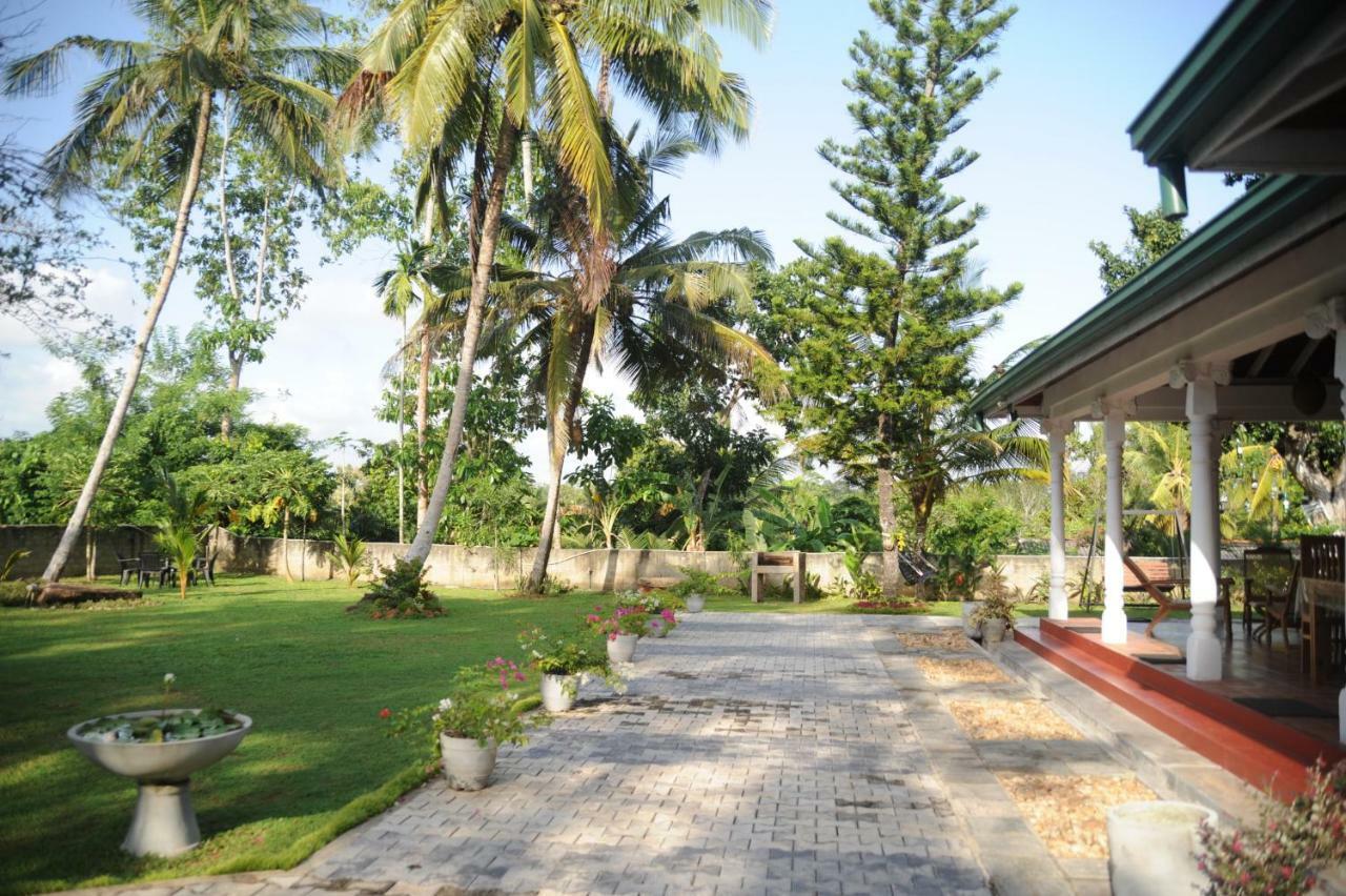 Tranquility Guest House Hikkaduwa Exteriör bild