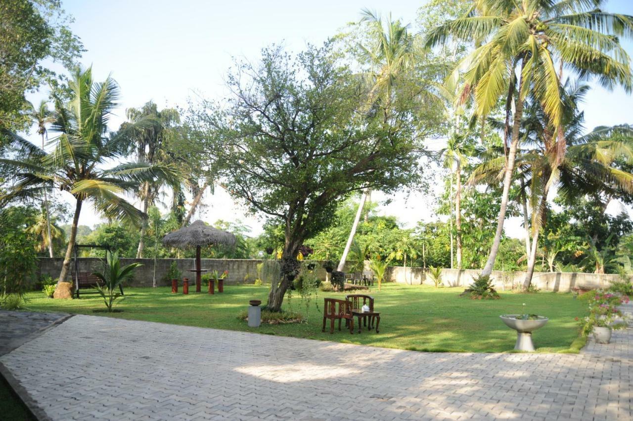Tranquility Guest House Hikkaduwa Exteriör bild